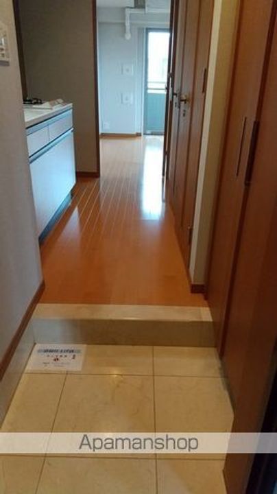 東京都豊島区東池袋2丁目の賃貸マンションの玄関