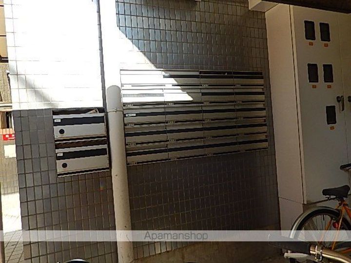 ラッキーキャットのその他画像