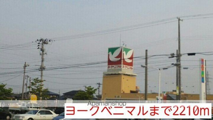 エクセランの周辺