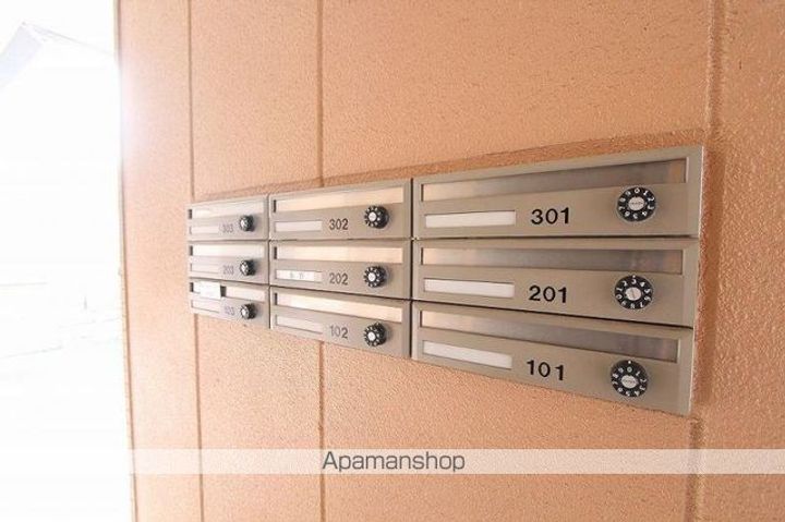 エバーグリーンのその他画像