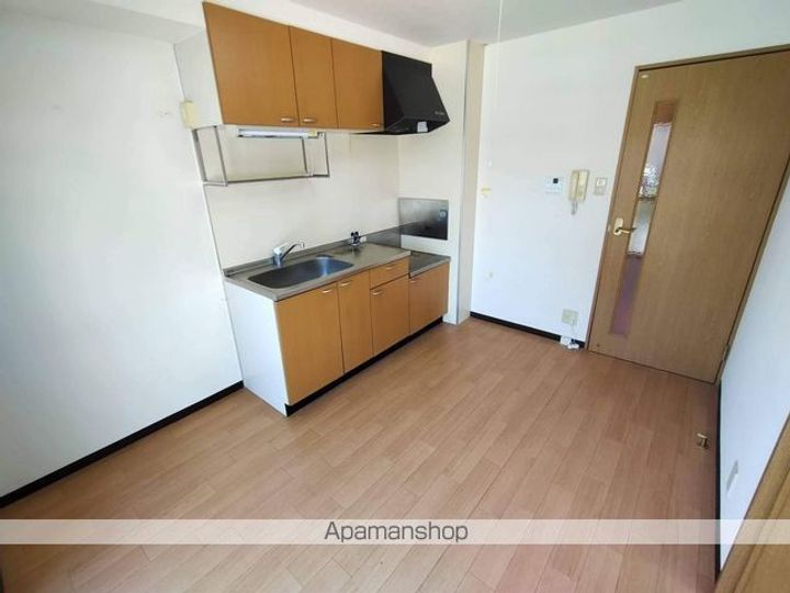 滋賀県長浜市祇園町の賃貸マンションの内装