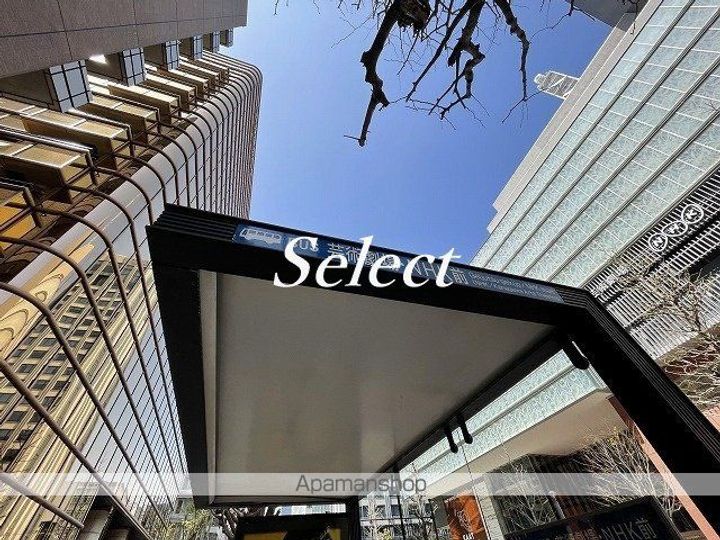 セザール山下公園の周辺