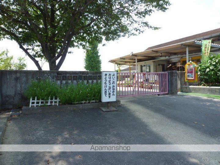 プルメリアイズシの周辺