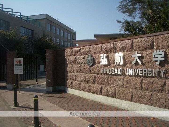 シンエイハイツAの周辺