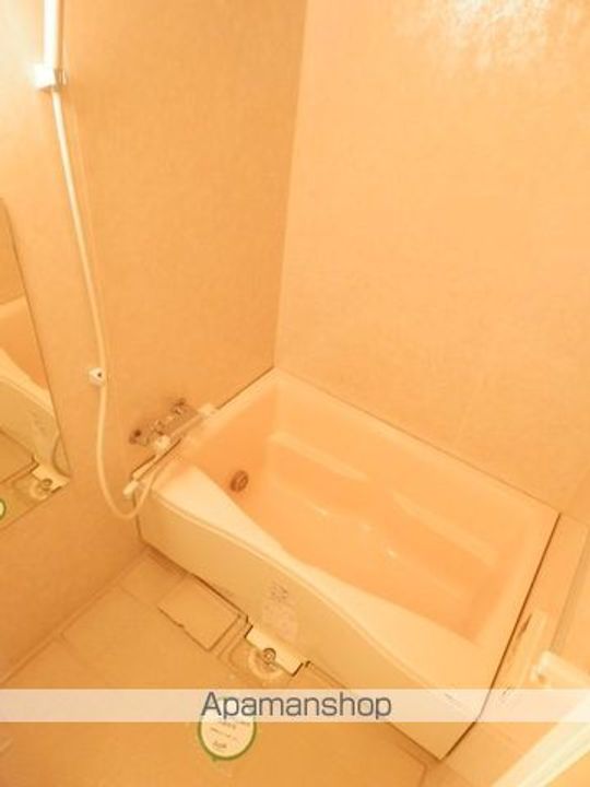 千葉県千葉市中央区港町の賃貸マンションの風呂