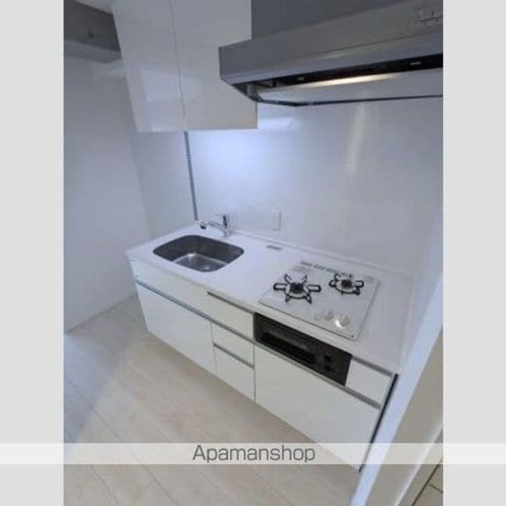 花の木ライズ505のキッチン