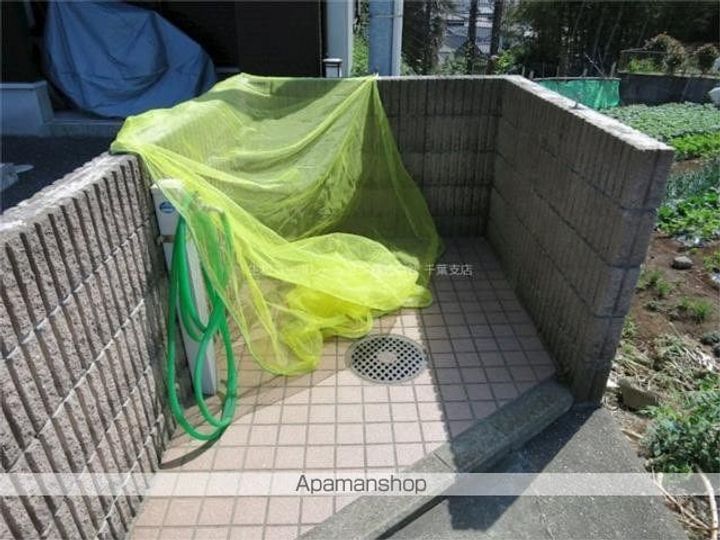 ブルーラグーンのその他画像