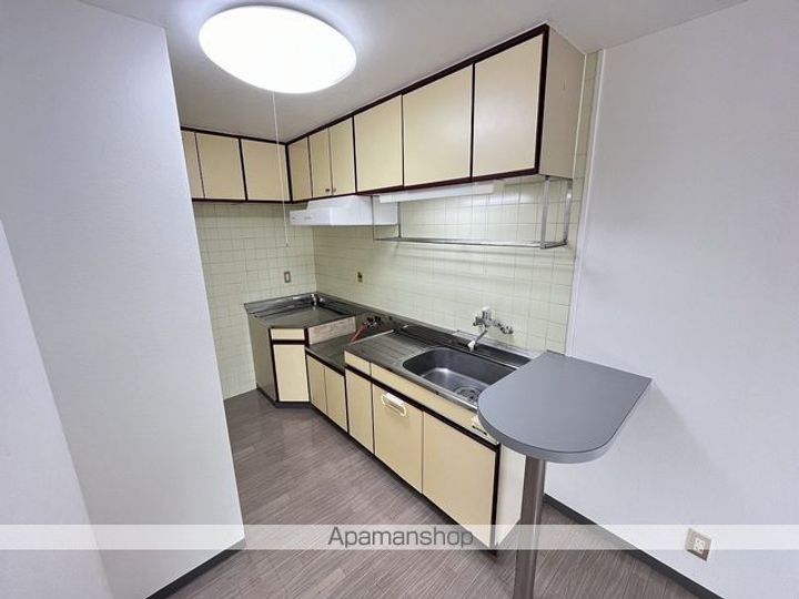 アピアチェーレ二の宮202のキッチン