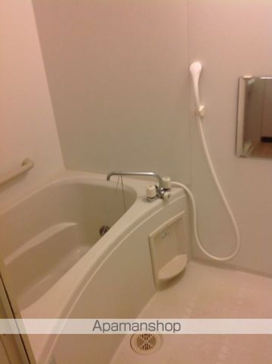 レオネクスト辛島Ⅱ109の風呂