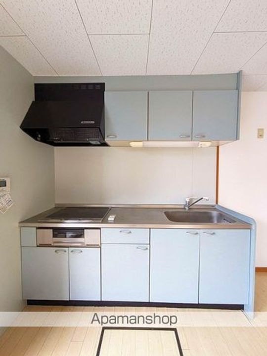 RENACEみずほ102のキッチン