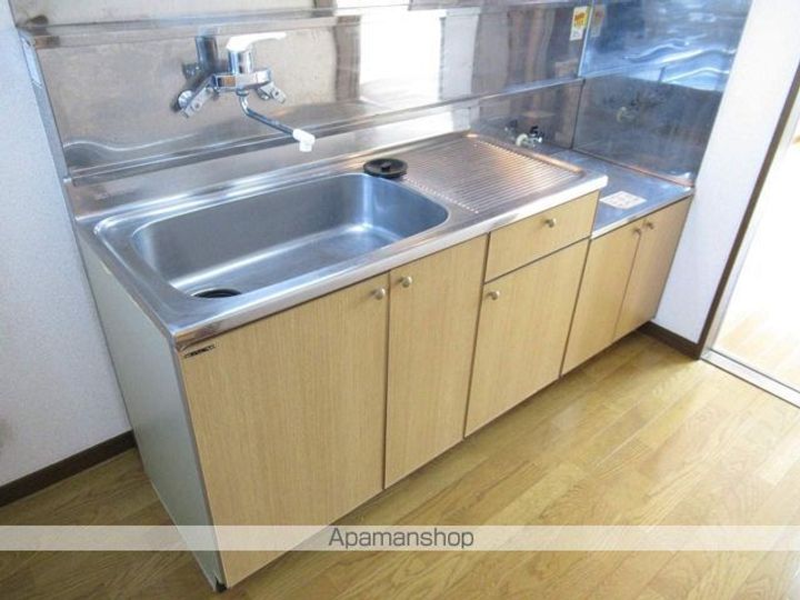 シャトーレオB棟107のキッチン