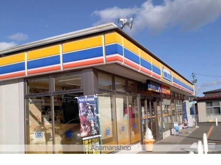 フクジュソウの周辺