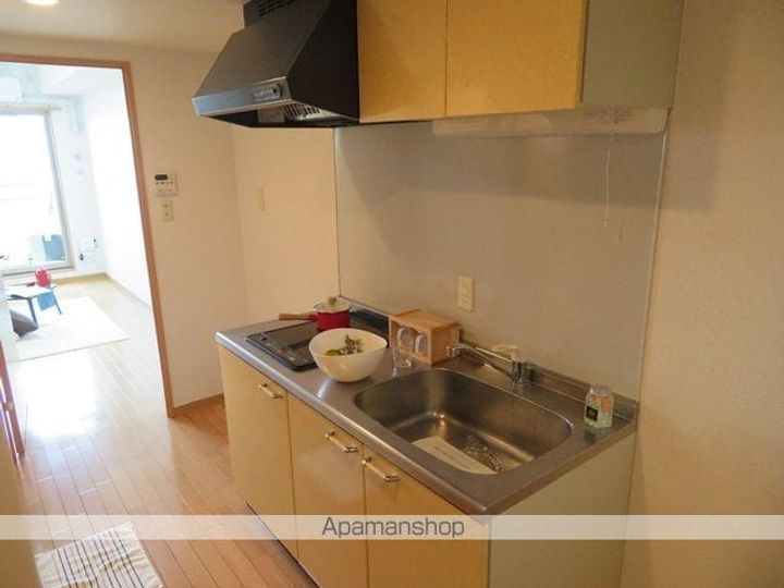 サンヴァーリオ新田駅前Ⅱのキッチン