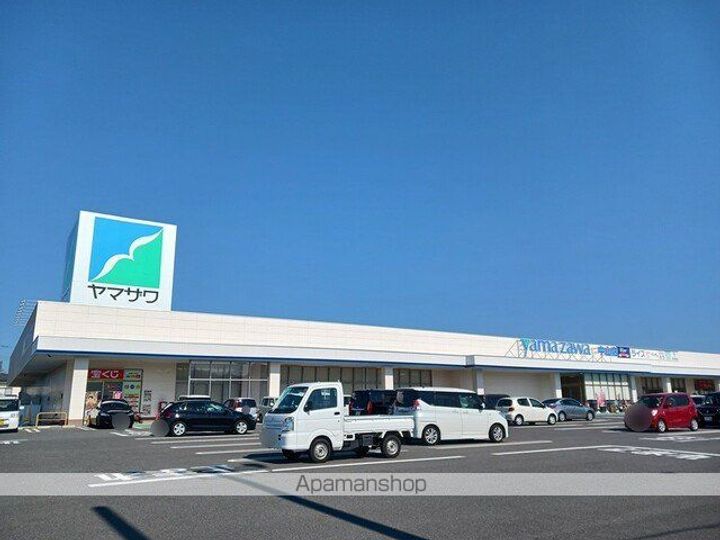 サンフラワーの周辺