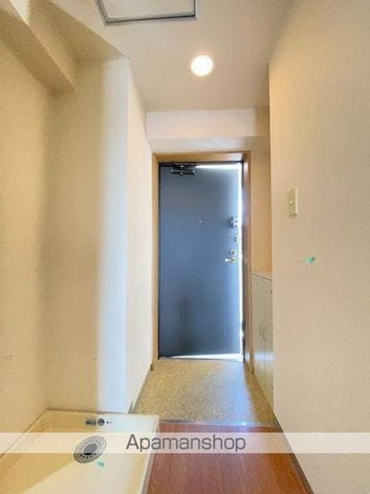 埼玉県三郷市三郷1丁目の賃貸マンションの内装