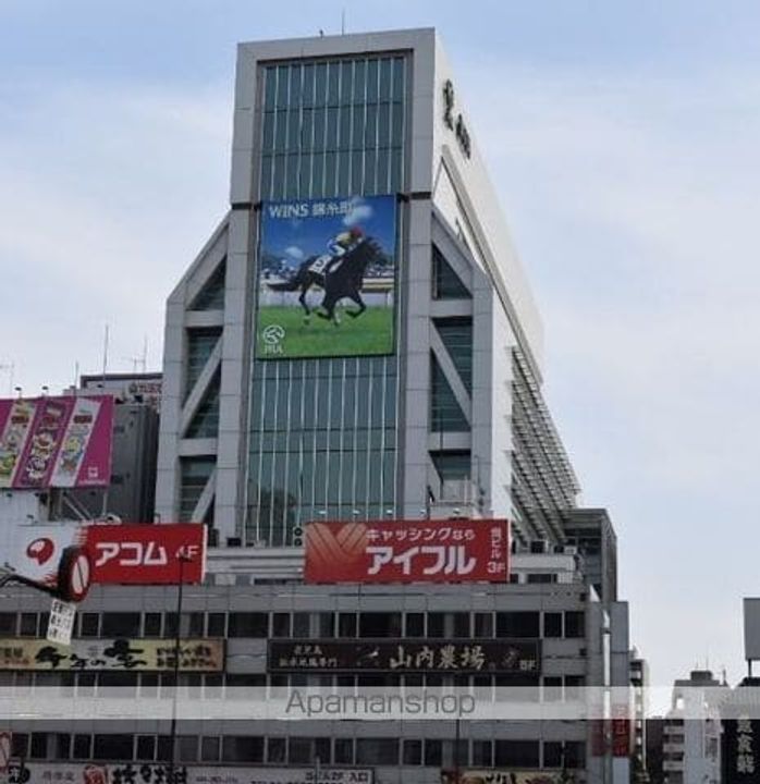 エコロジー錦糸町レジデンスの周辺