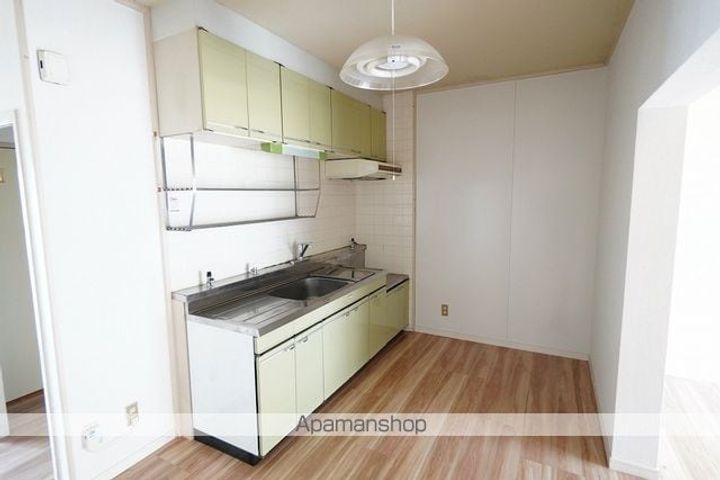 徳島県徳島市南佐古八番町の賃貸マンションのキッチン