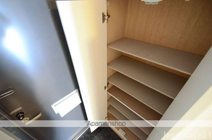 レオパレスフレンズ306の玄関