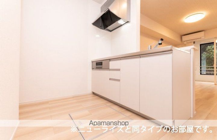 アルバスラピスⅡのキッチン