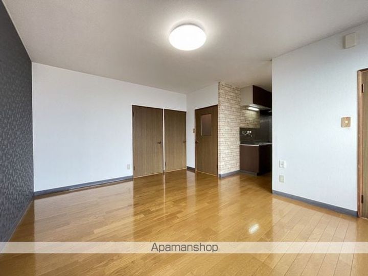 ベルビューラ大川ⅡB-1の内装