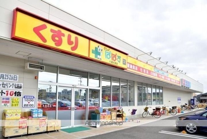 モンステラの周辺