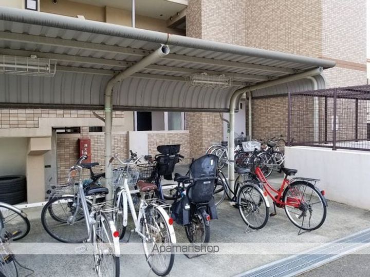 セレブリティー34505のその他画像