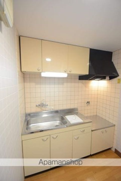 愛知県豊橋市花中町の賃貸マンションのキッチン