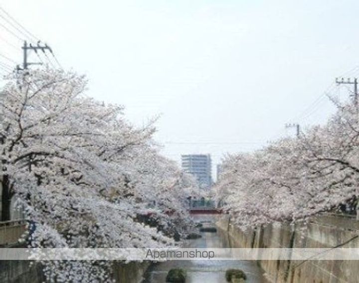 東京都板橋区仲町の賃貸マンションの周辺