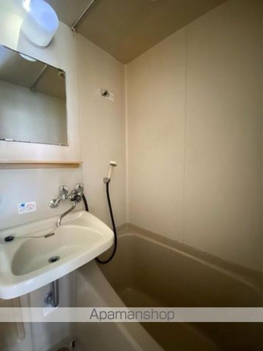 岩清尾マンションの風呂