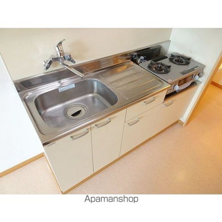 ルイスラピュタ301のキッチン