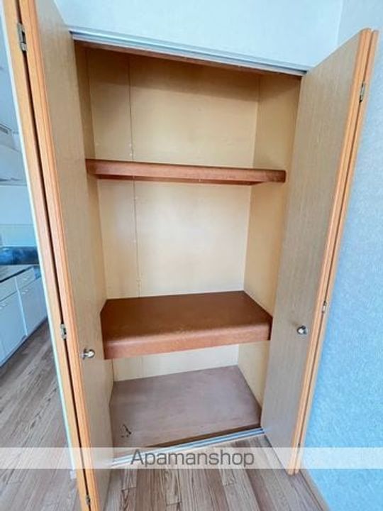 メヌエットイソマのその他画像