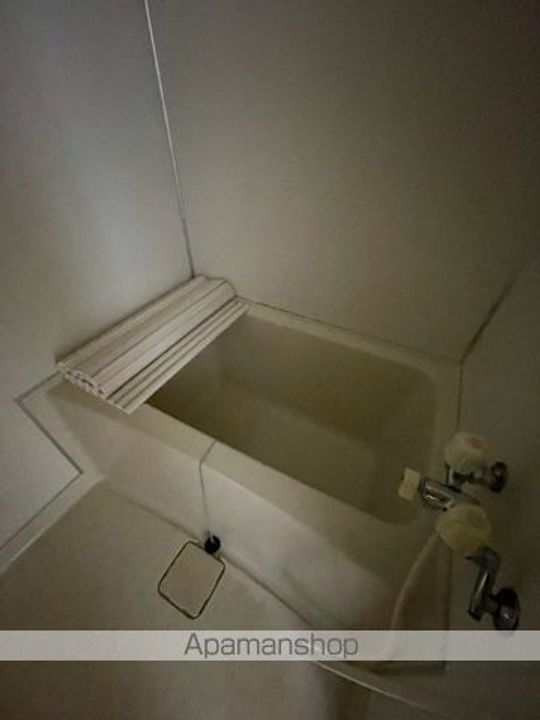 テラヴィⅡ202の風呂