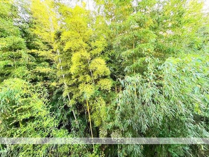 プレジール西大島のその他画像