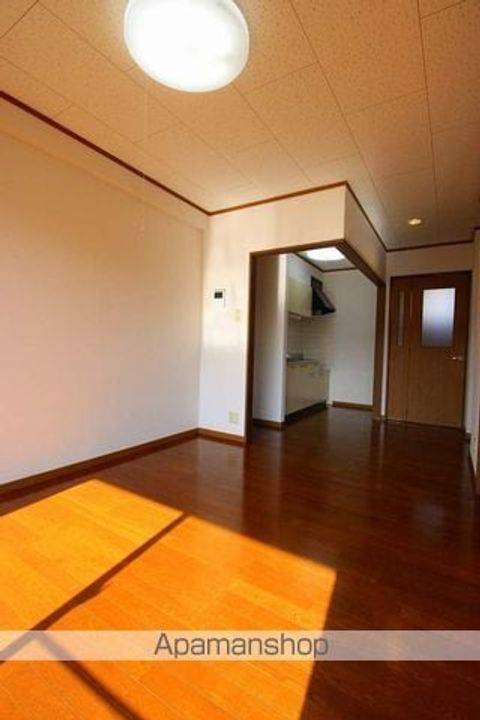 N&S203の内装