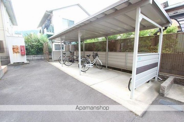 エバーグリーンのその他画像