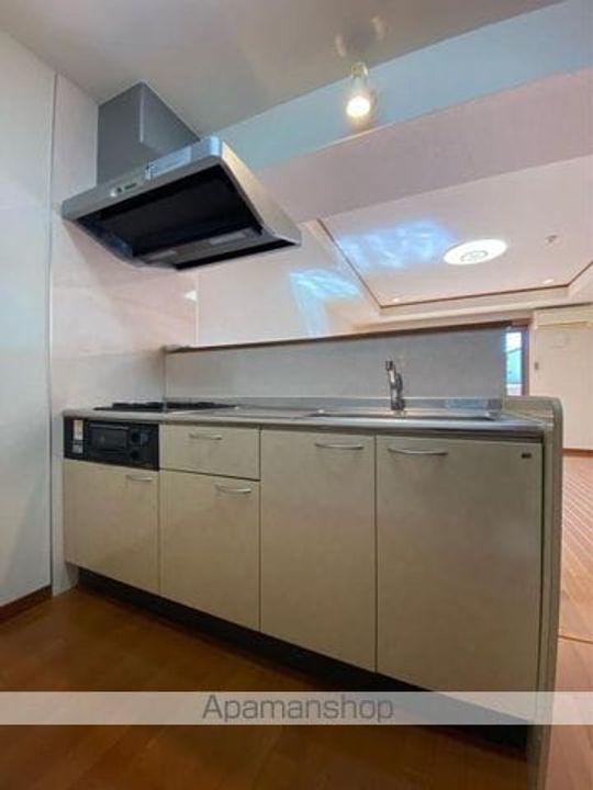 MINE PALACE303のキッチン