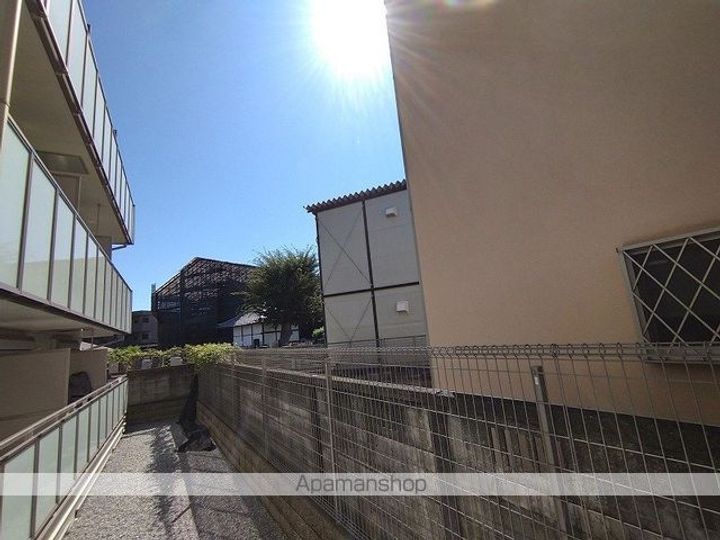 ミランダデアメルツのその他画像