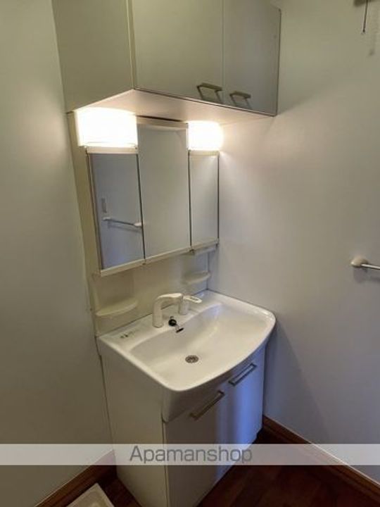 杏(アプリコット)のその他画像