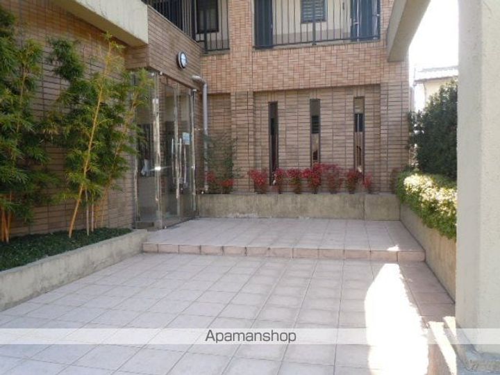 アルファルファAの外観