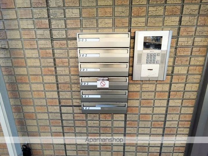 グリーンコスミオンのその他画像