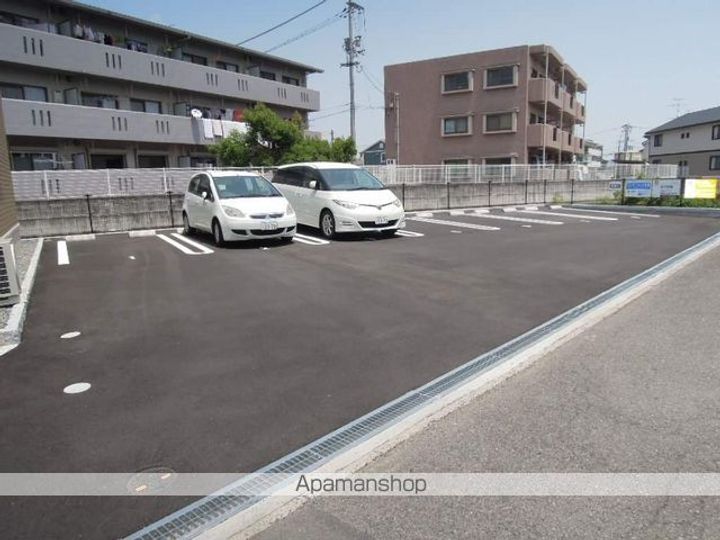 ステラのその他画像