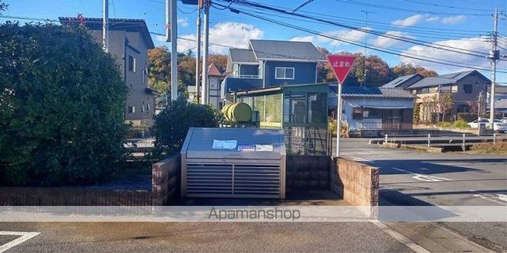 レオネクストパウロウニアのその他画像