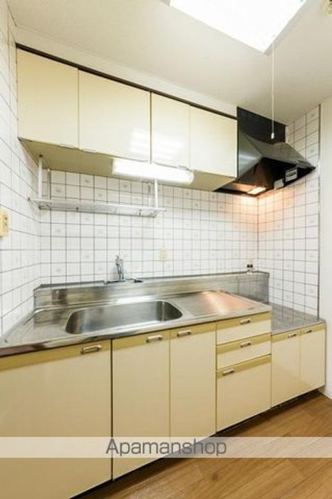 ドマーニ太田101のキッチン