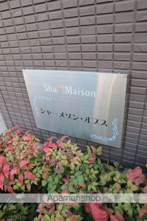 シャーメゾンオプスの外観