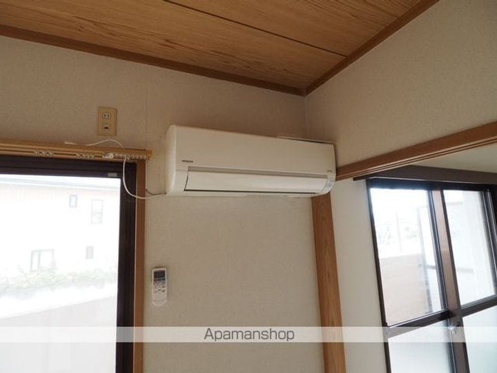 サンフラワーのその他画像