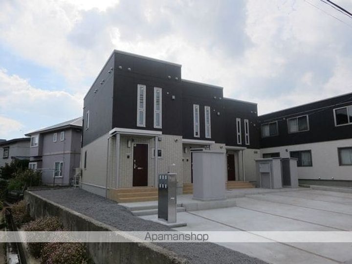 ヴィオラの外観