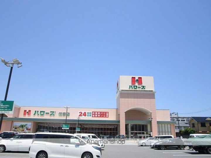 セジュール住吉 A棟の周辺