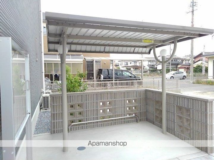 タンジーのその他画像