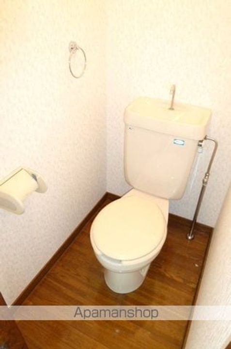 ルピナスのその他画像