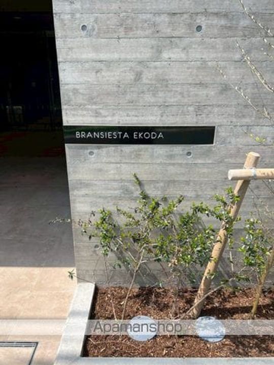 東京都練馬区豊玉上1丁目の賃貸マンションのその他画像